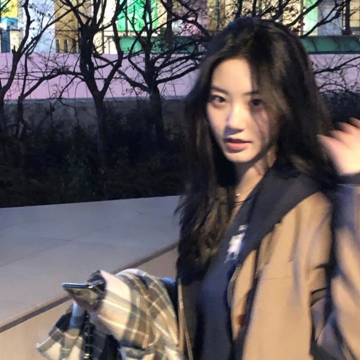 大象与小蝶物语 在线观看