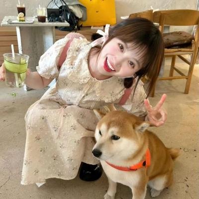 明星梦 在线观看